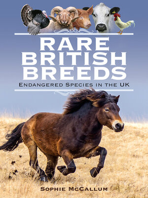cover image of Rare British Breeds